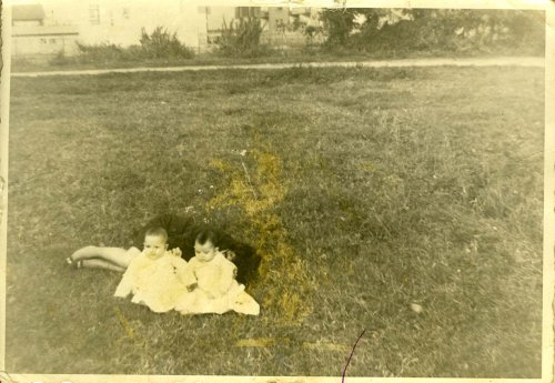 Raccolta Cireddu Dino