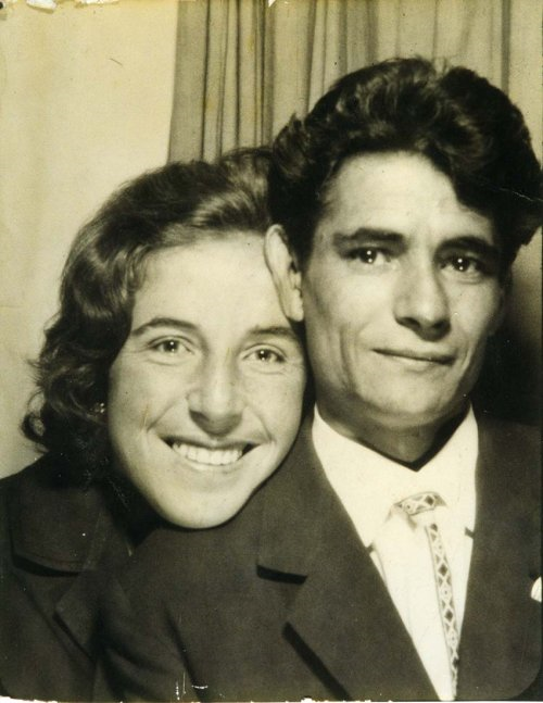 Raccolta D'Andrea Antonia