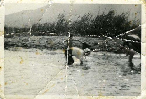 Raccolta Lilliu Paolo