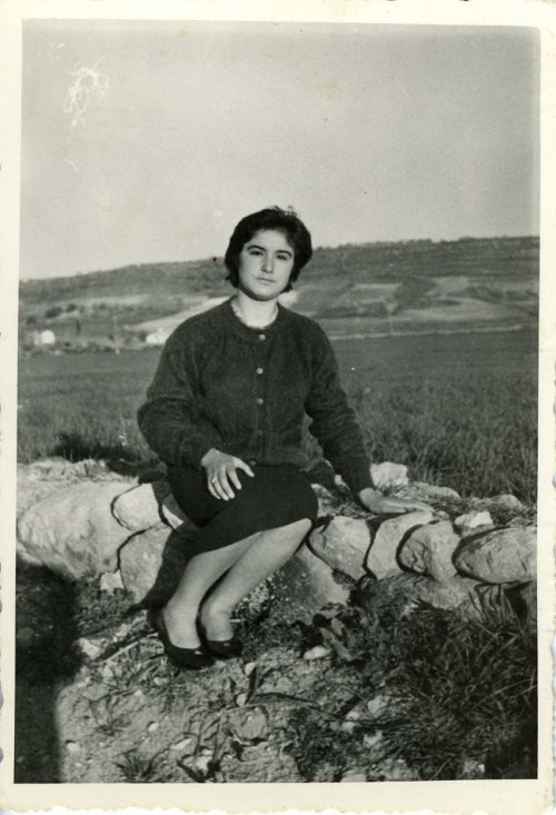 Raccolta Milia Teresa