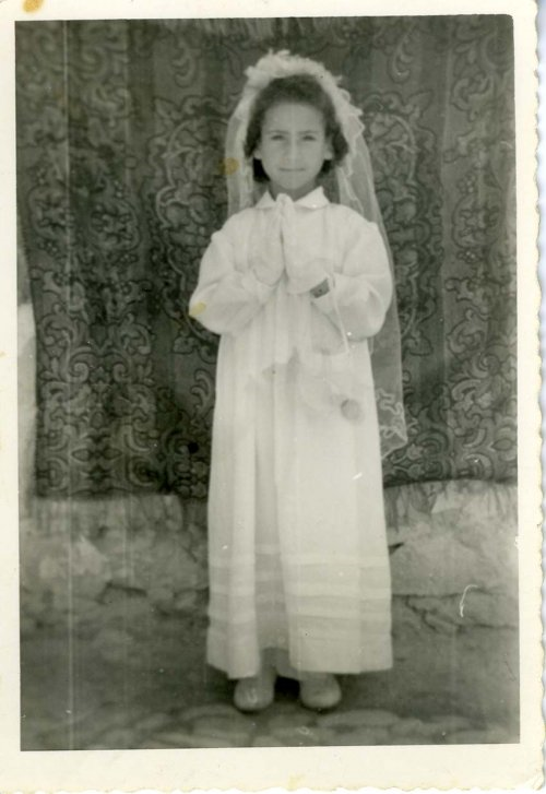 Raccolta Pisano Ardeatina