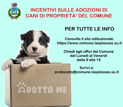 Incentivi per adozione di cani di proprietà del Comune